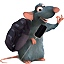 Avatar de l’utilisateur
