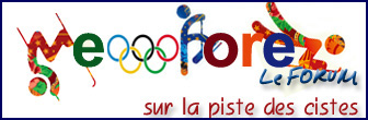 sotchi-logos.jpg