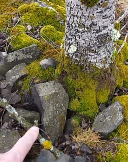 Face à la croix