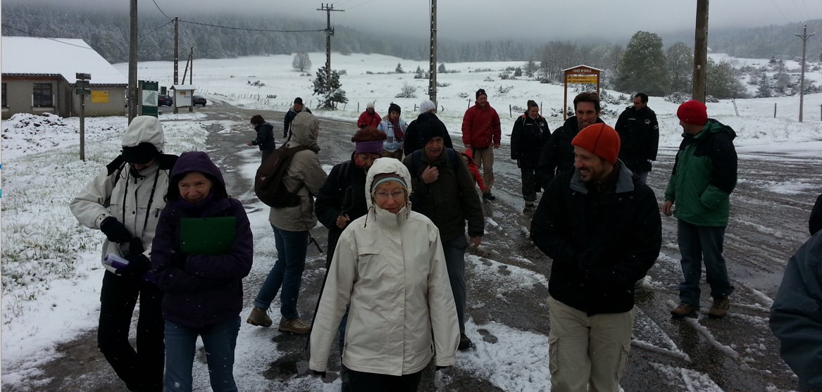 Drôme 25 Mai 2013 (1).jpg