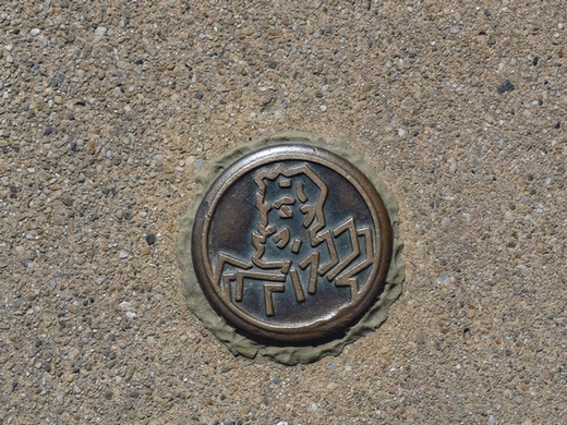 P1090206-.JPG