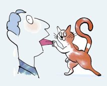 chat.jpg