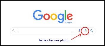 Google.jpg