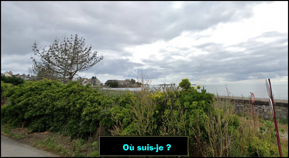 ouou.jpg