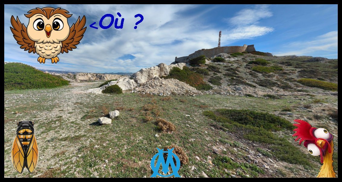 houhouhou.jpg