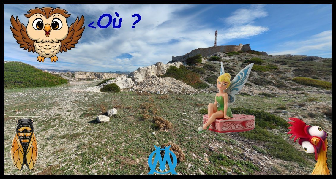 Lolly des cistes.jpg