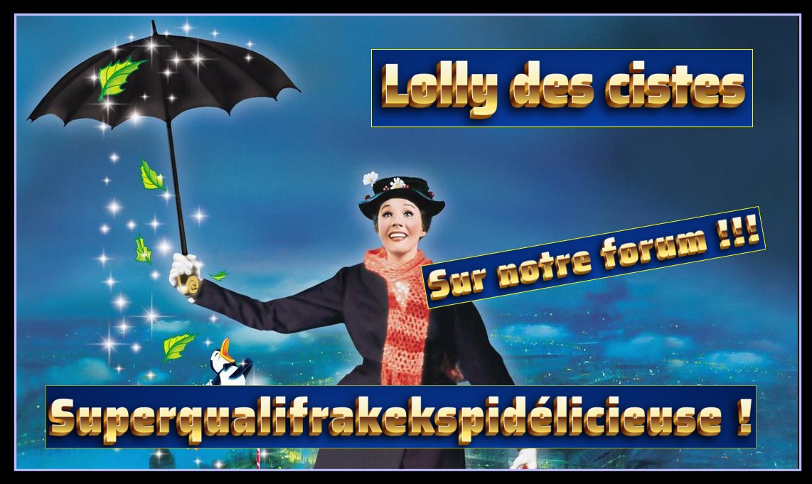 lolly.jpg