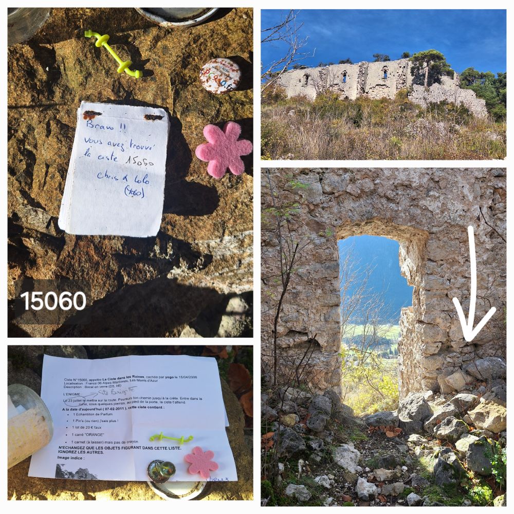 15060 (2) - Copie1.jpg