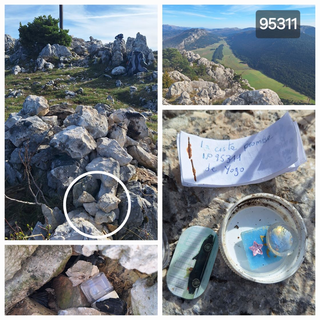 95311 (2) - Copie1.jpg