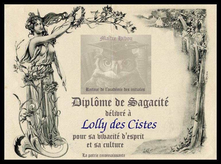 diplome 50 Lolly.jpg