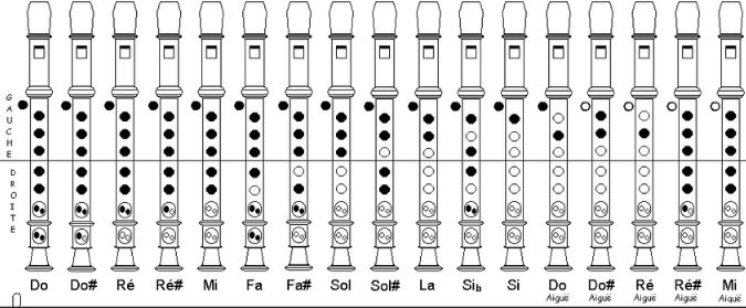 Flûte-à-bec.JPG
