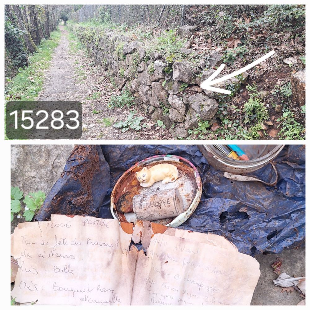 20250313_174139 - Copie1.jpg