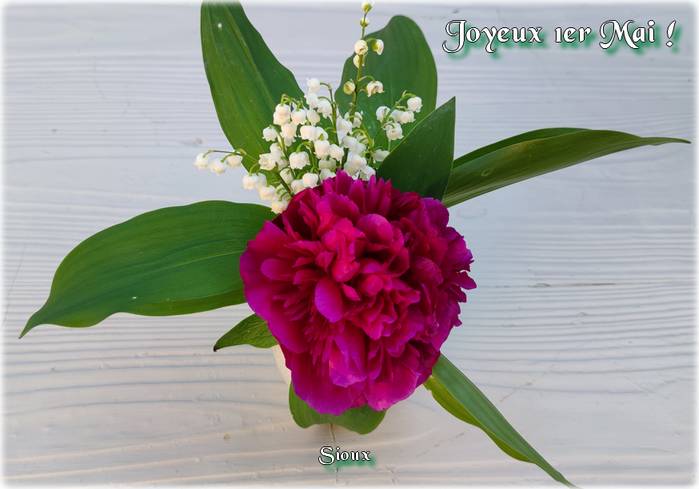1er_mai.jpg