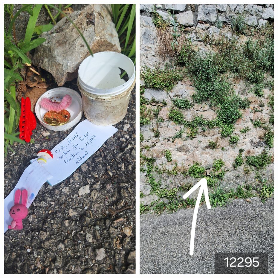 20250517_132101 - Copie1.jpg