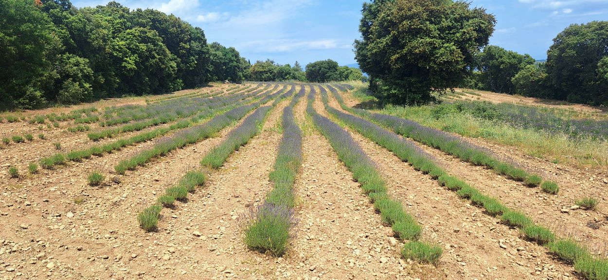 20250607_134060 - Copie.jpg