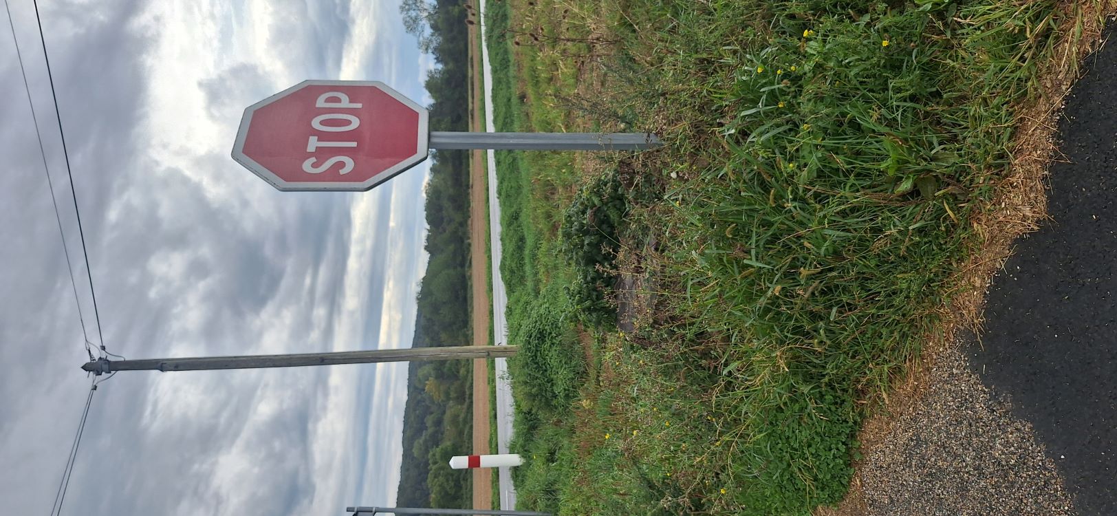 68555 copie.jpg