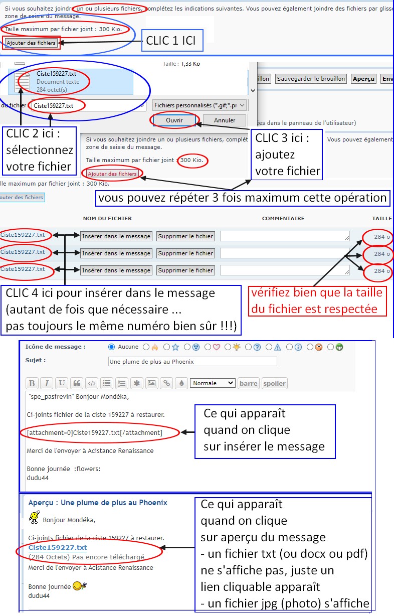 Phoenix Tuto insérer un fichier dans un mp.jpg