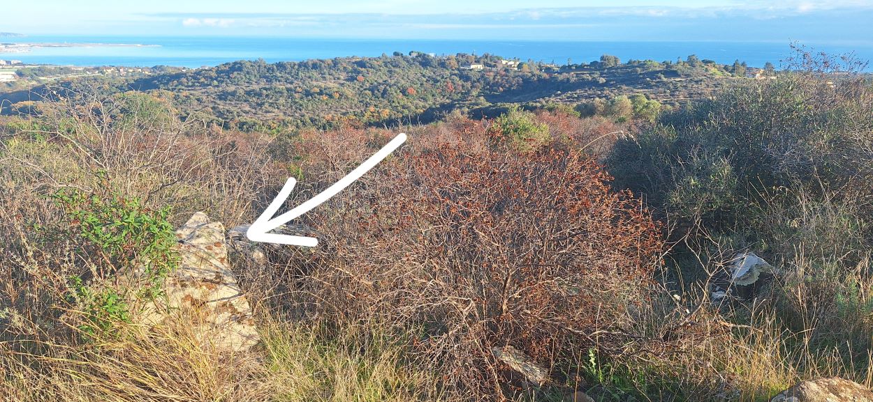 20251209_151730 - Copie.jpg