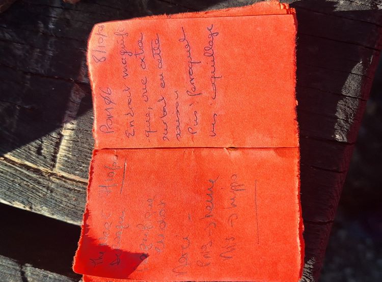 20260108_111732 - Copie.jpg