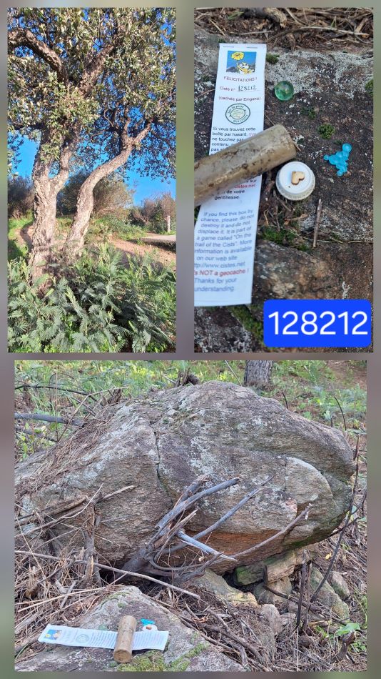 128212 copie.jpg