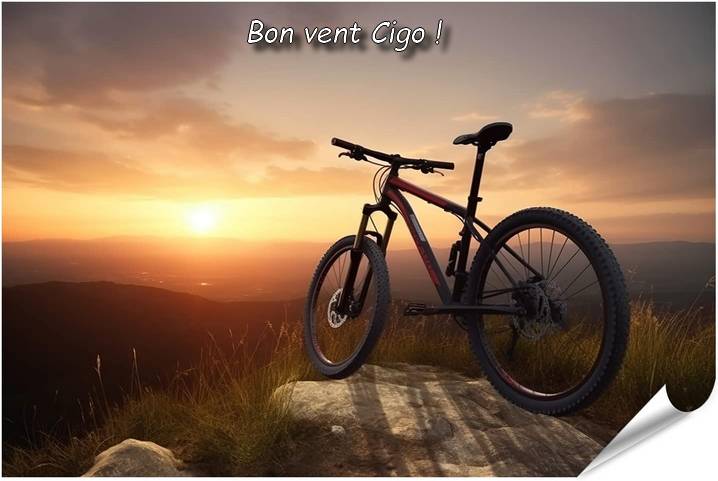 cigogneau.jpg